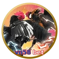 vn58 bet